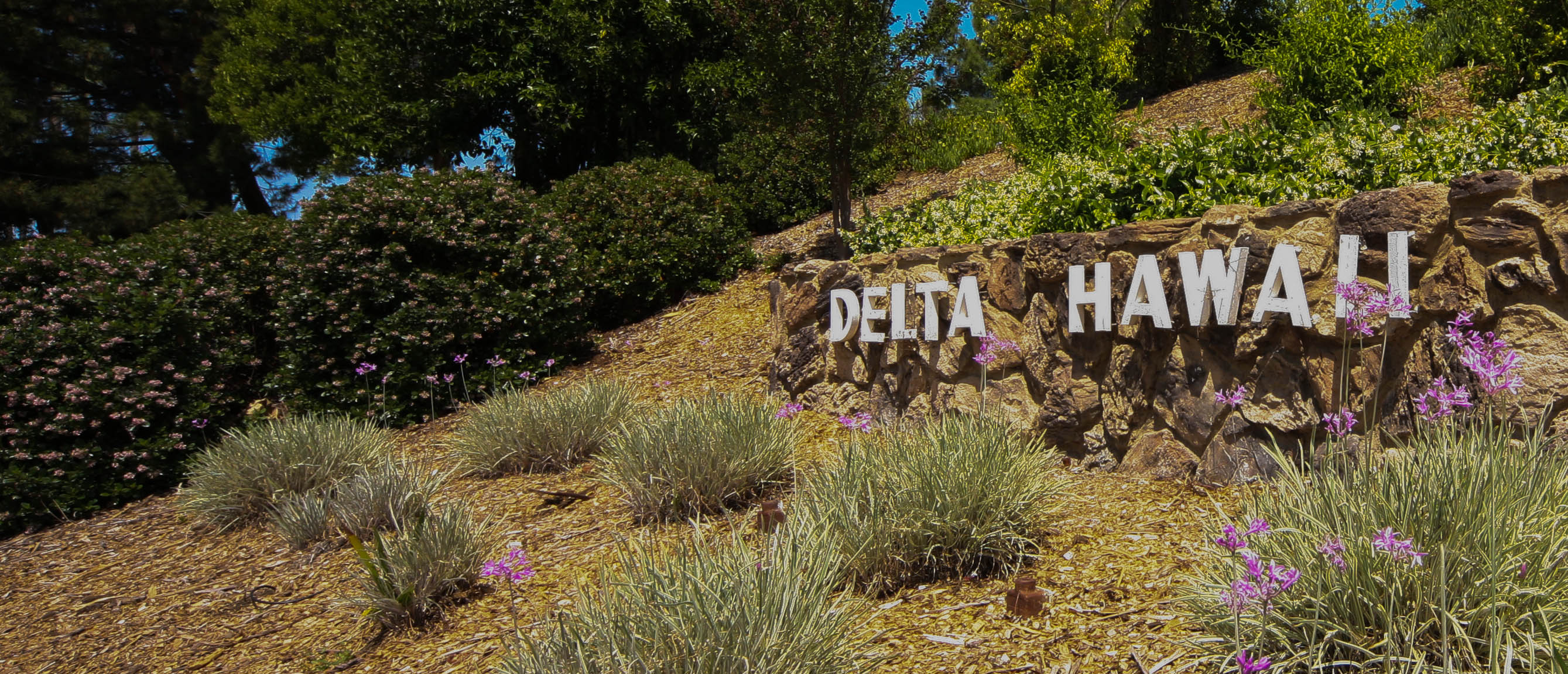 Delta Hawaii Sign