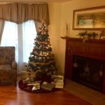 Living room with fireplace